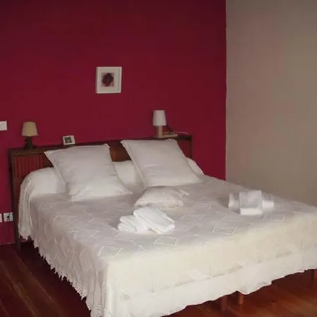 La Maison Des Aurelines Bed & Breakfast Puisseguin