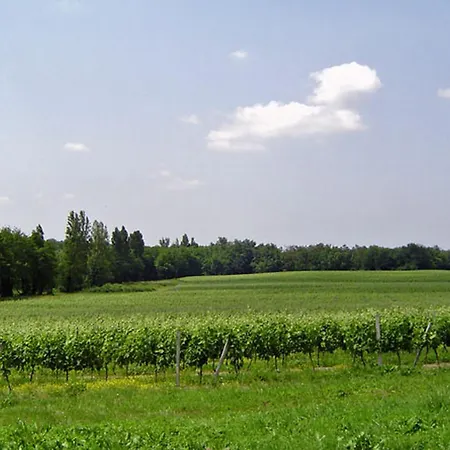 La Maison Des Aurelines *