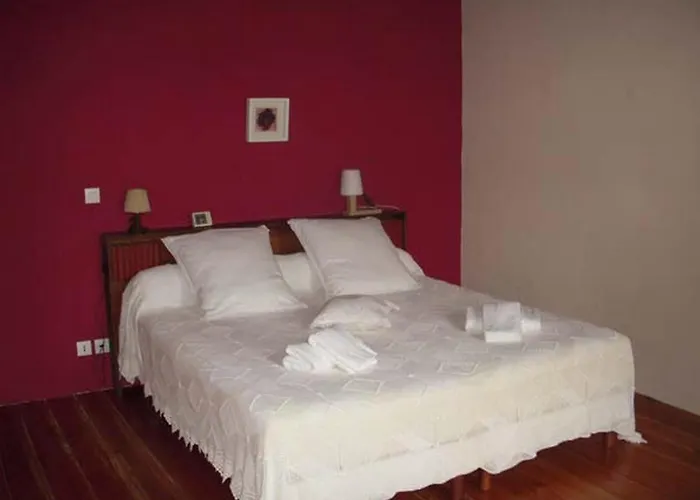 La Maison Des Aurelines Bed and Breakfast Puisseguin