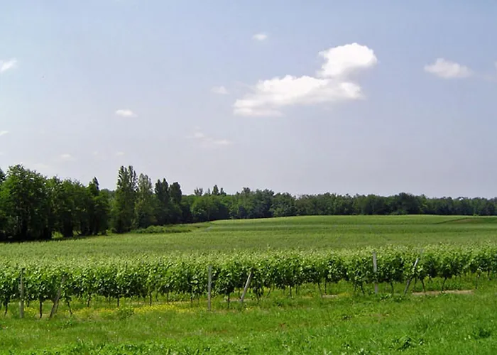 La Maison Des Aurelines 3*